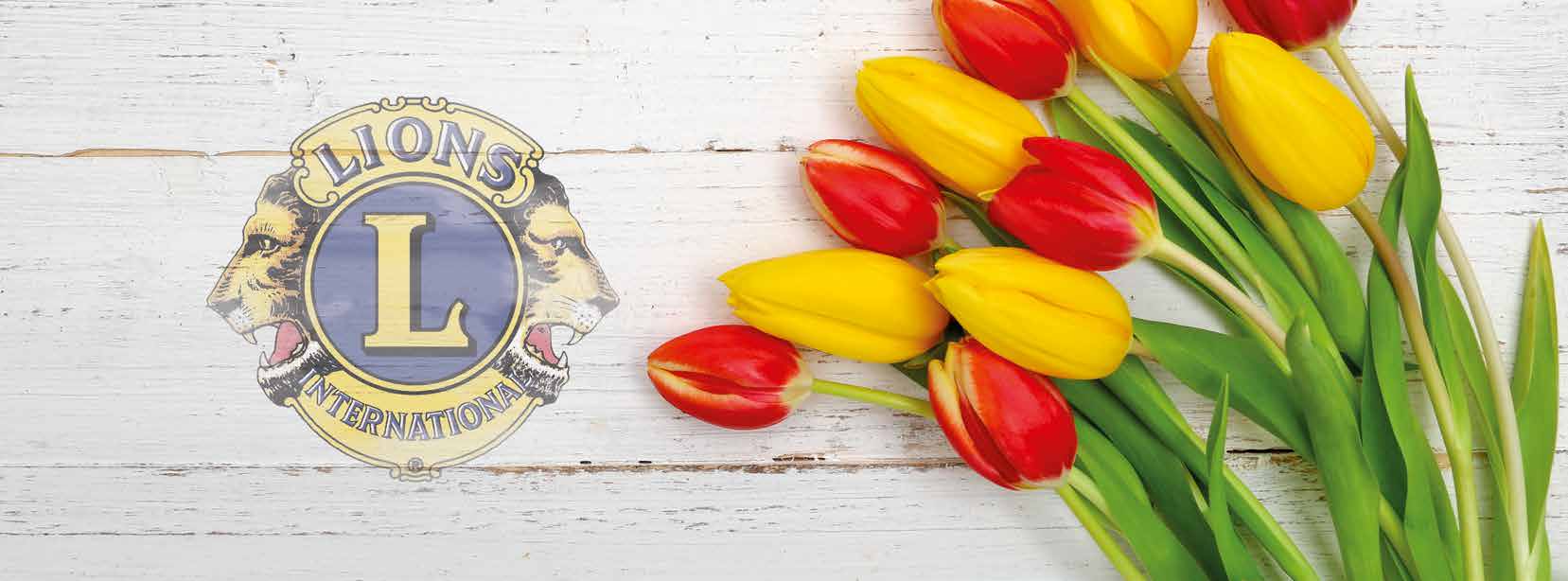 Tulpenfest im Stadtpark – „Let’s Tulp“
